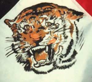 tiger vinyl paiint on awning